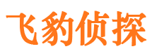 武义市调查公司